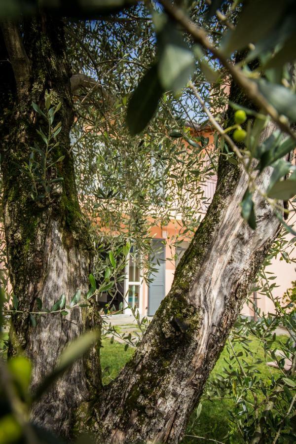 Maison Casa Lavanda Bellagio Exterior foto